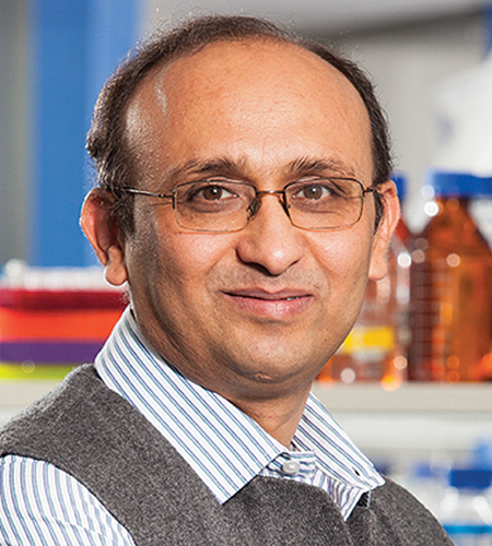 Dr. Rajesh S. Gokhale